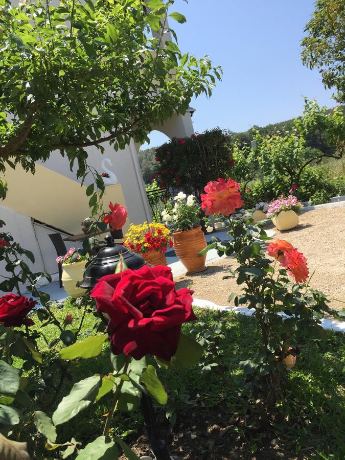 Villa Maria Περιβόλι Εξωτερικό φωτογραφία